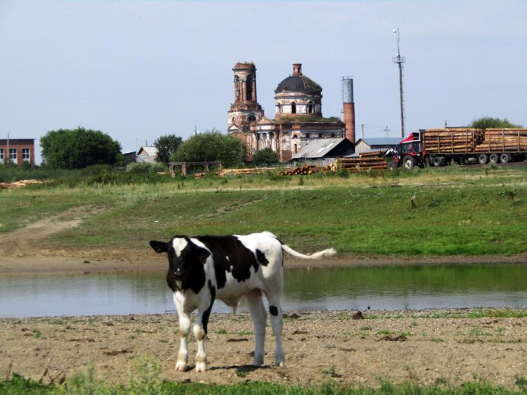 Село никольское на волге